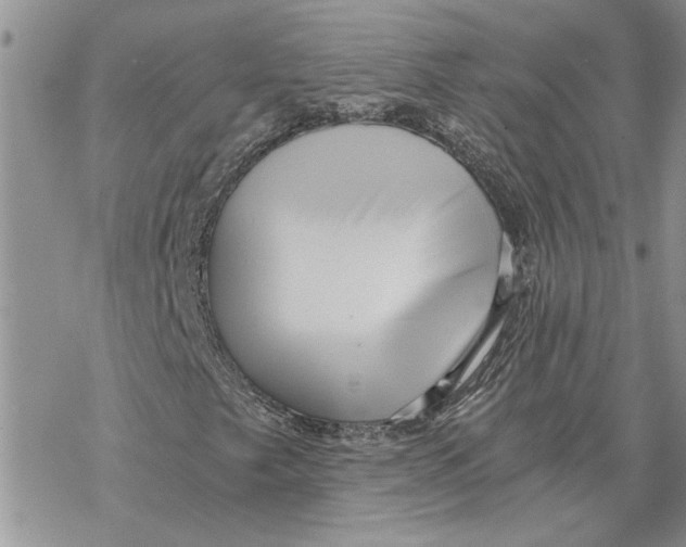 X0000069831249200606091437