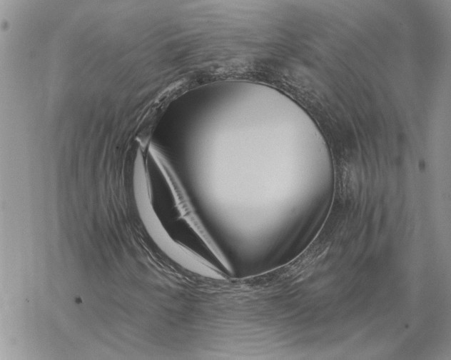 X0000069831250200606091437