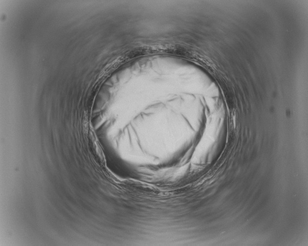 X0000069831251200606091437