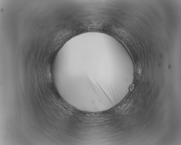 X0000069831252200606091437