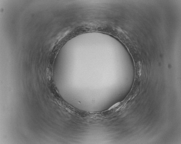 X0000069831253200606091437