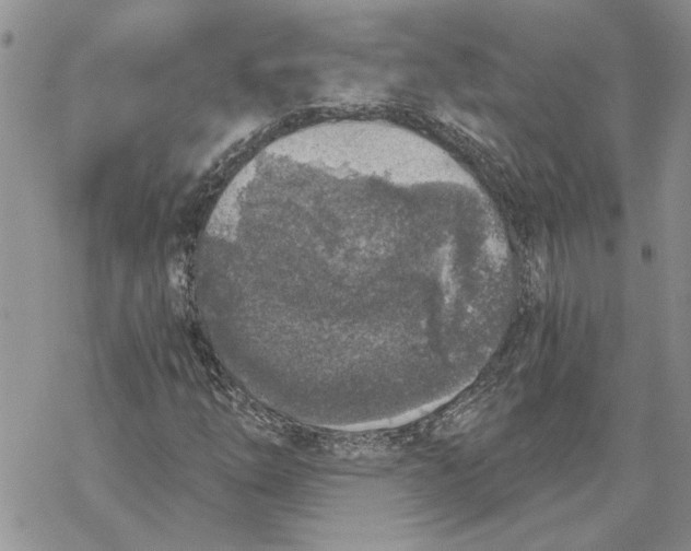 X0000069831254200606091437