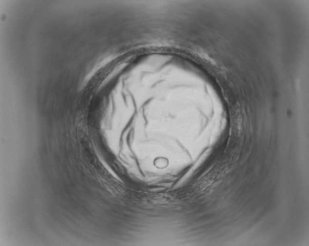 X0000069831255200606091437