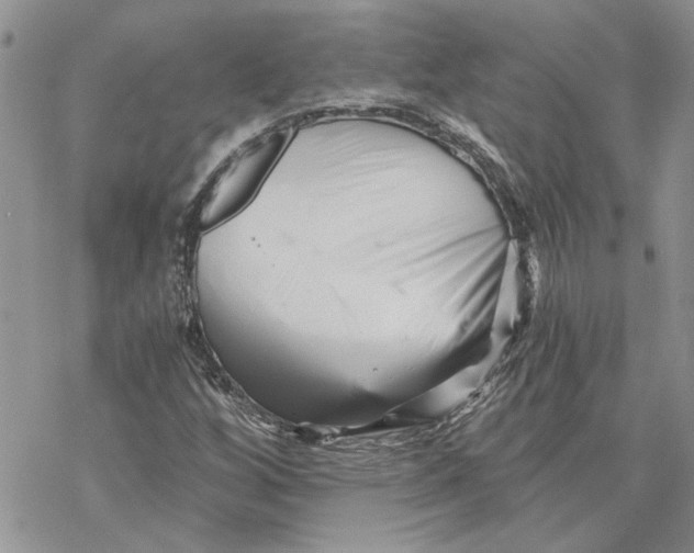 X0000069831256200606091437