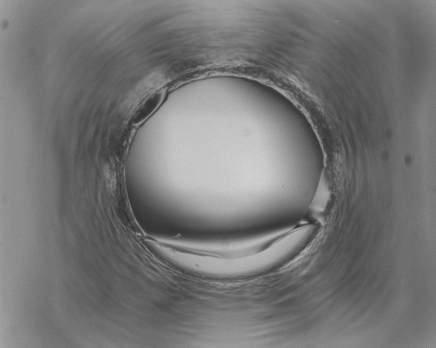 X0000069831257200606091437