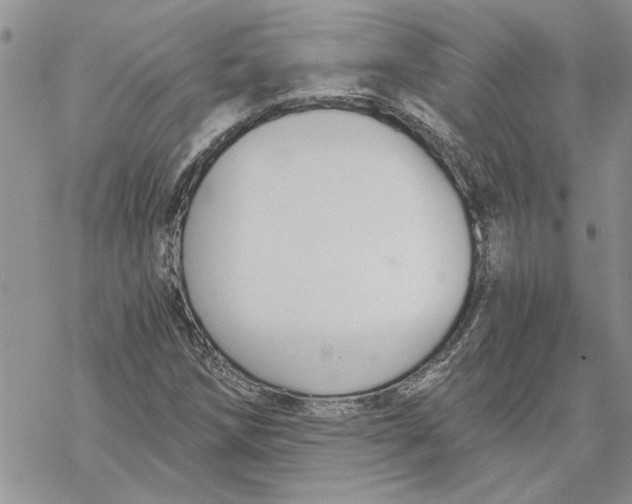 X0000069831258200606091437