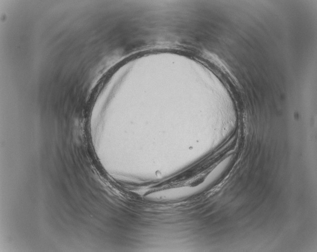 X0000069831260200606091437