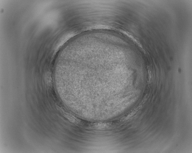 X0000069831266200606091437