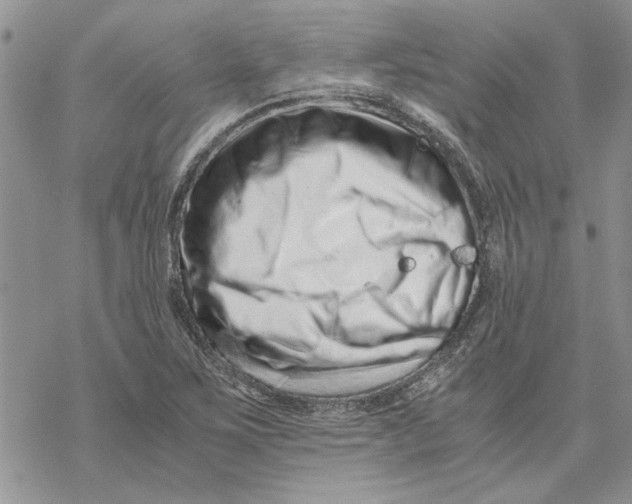 X0000069831267200606091437