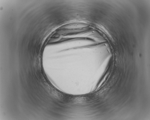 X0000069831268200606091437