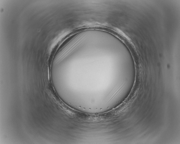 X0000069831269200606091437