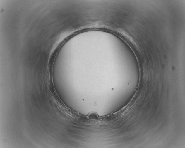 X0000069831270200606091437