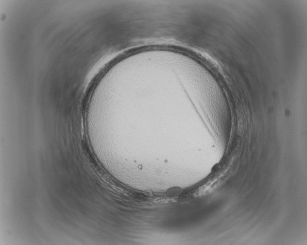 X0000069831271200606091437