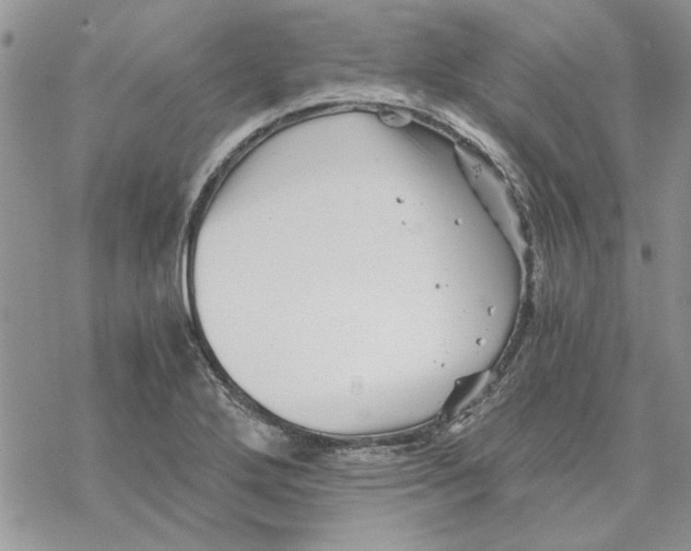 X0000069831272200606091437