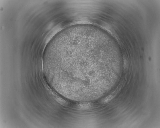 X0000069831274200606091437