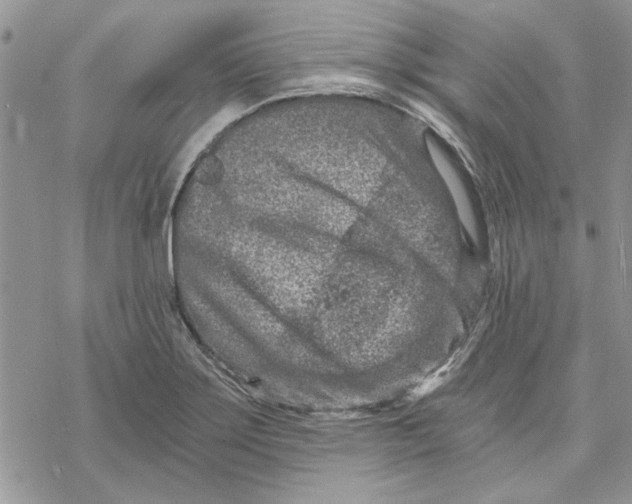 X0000069831275200606091437