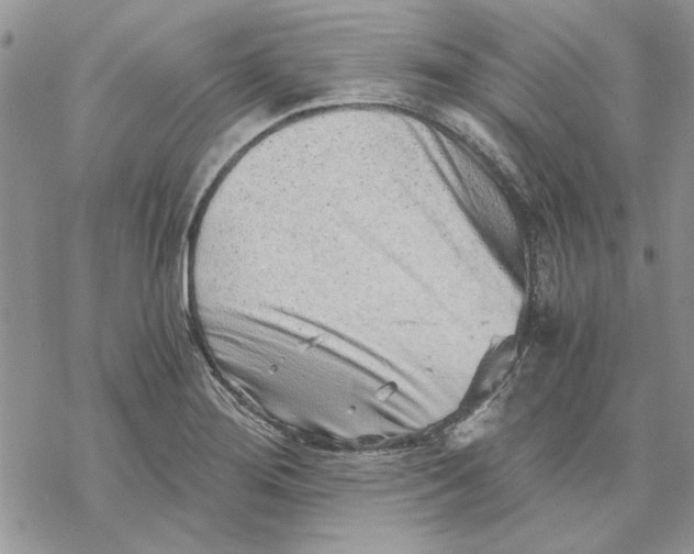 X0000069831276200606091437