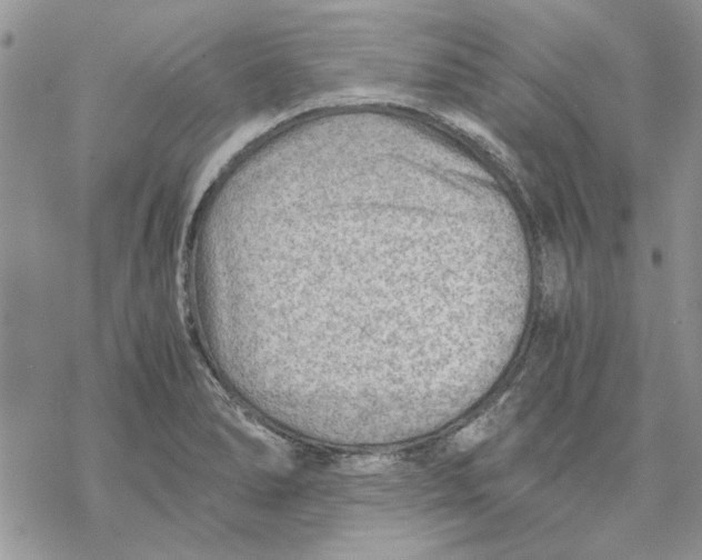 X0000069831278200606091437