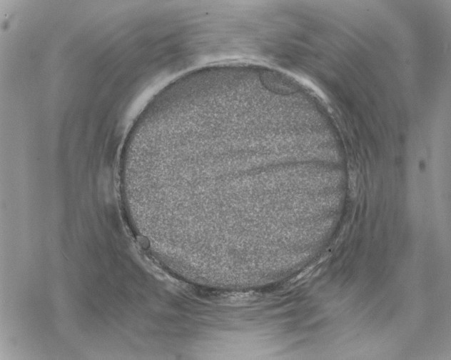 X0000069831279200606091437