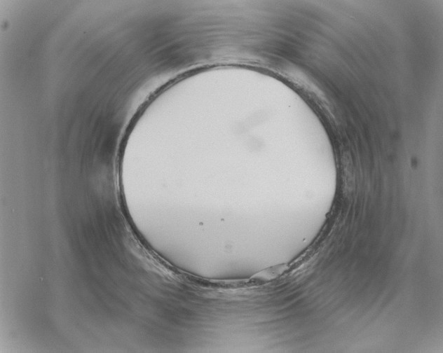 X0000069831280200606091437