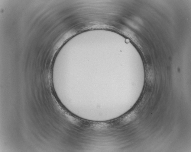 X0000069831282200606091437