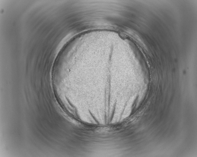 X0000069831283200606091437