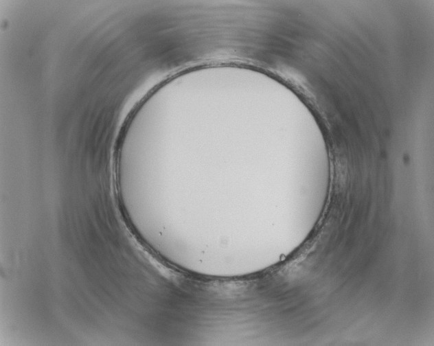 X0000069831286200606091436