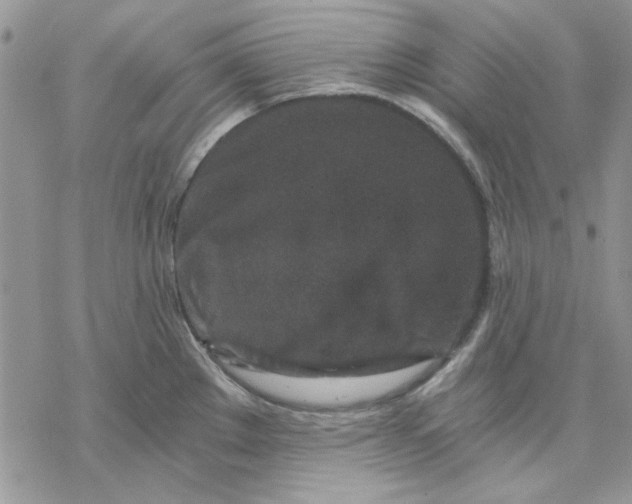 X0000069831289200606091436