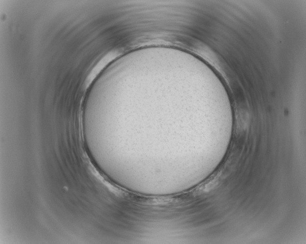 X0000069831290200606091436