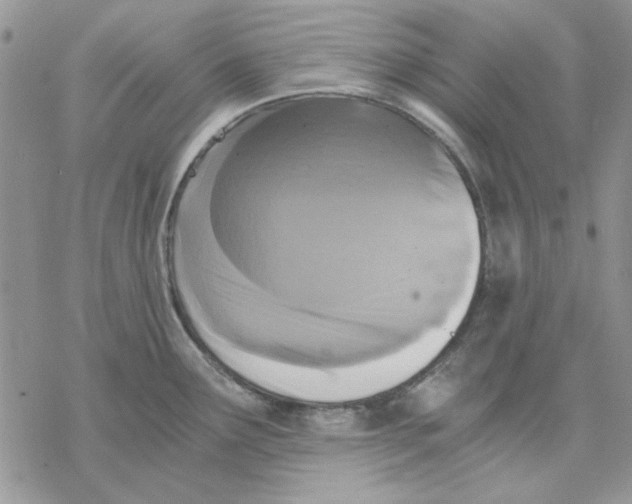 X0000069831291200606091436