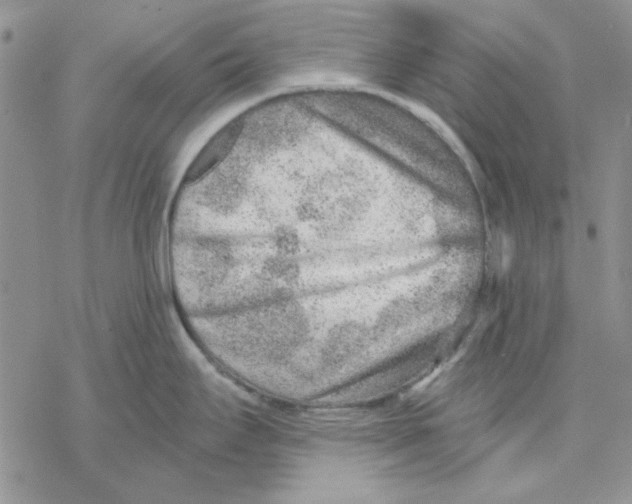 X0000069831295200606091436