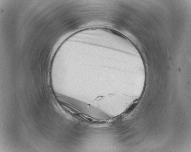 X0000069831296200606091436