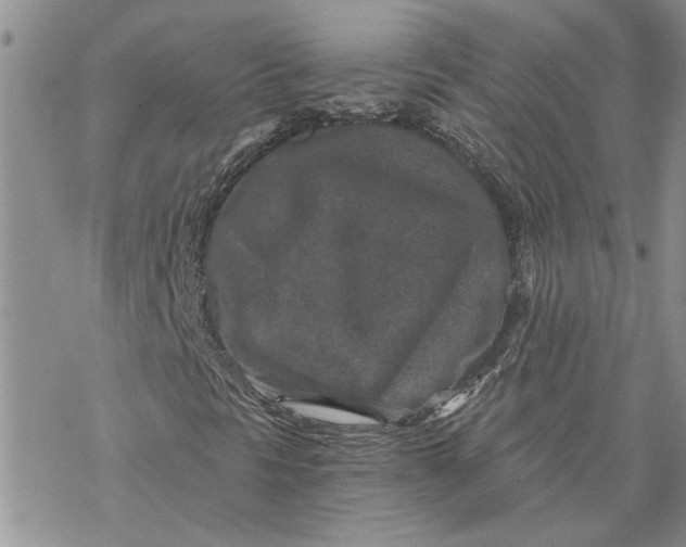 X0000069831297200606091435