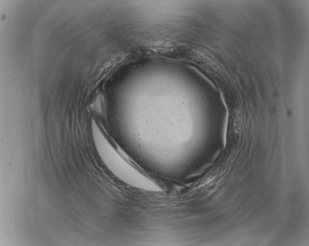 X0000069831298200606091436