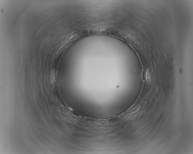 X0000069831299200606091436