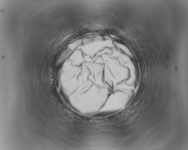 X0000069831301200606091436