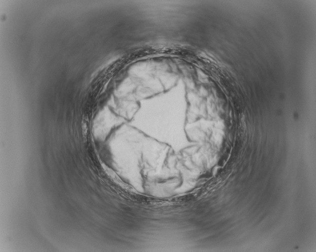 X0000069831302200606091436