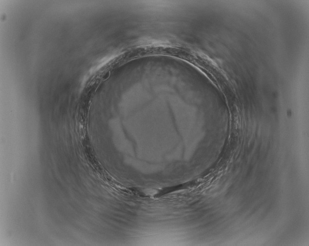 X0000069831303200606091436