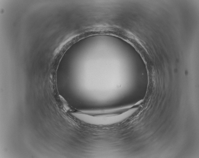 X0000069831304200606091436