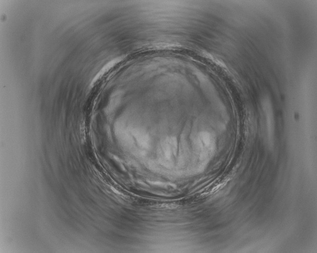 X0000069831306200606091436