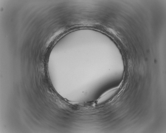 X0000069831307200606091436