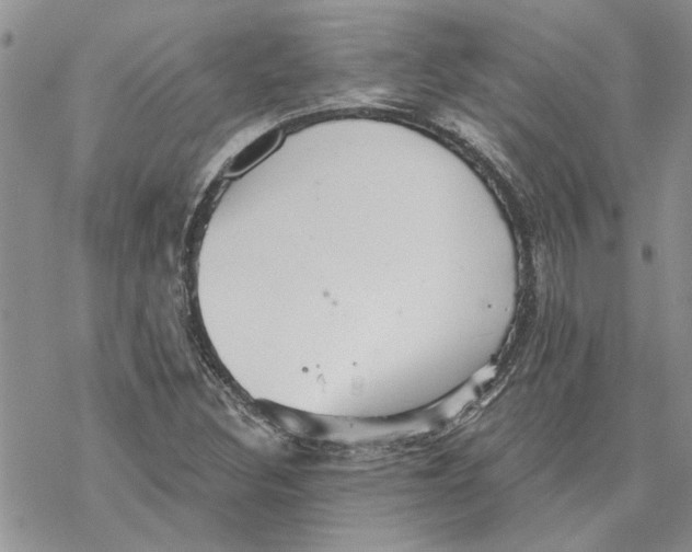 X0000069831308200606091436