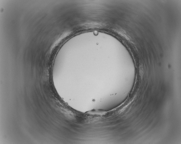 X0000069831309200606091436