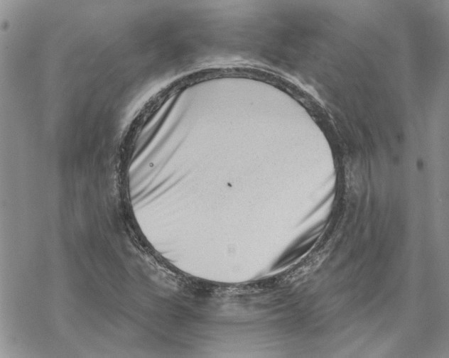 X0000069831311200606091436