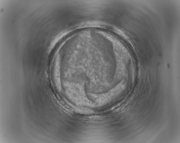 X0000069831312200606091436