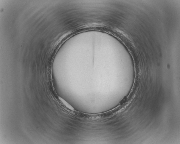 X0000069831313200606091436