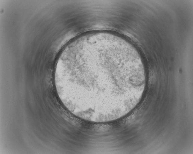 X0000069831314200606091436