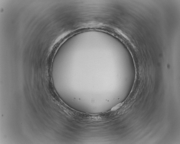 X0000069831315200606091436