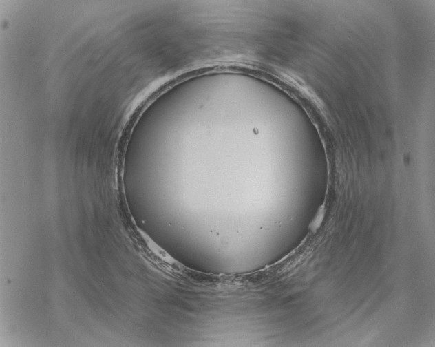 X0000069831316200606091436