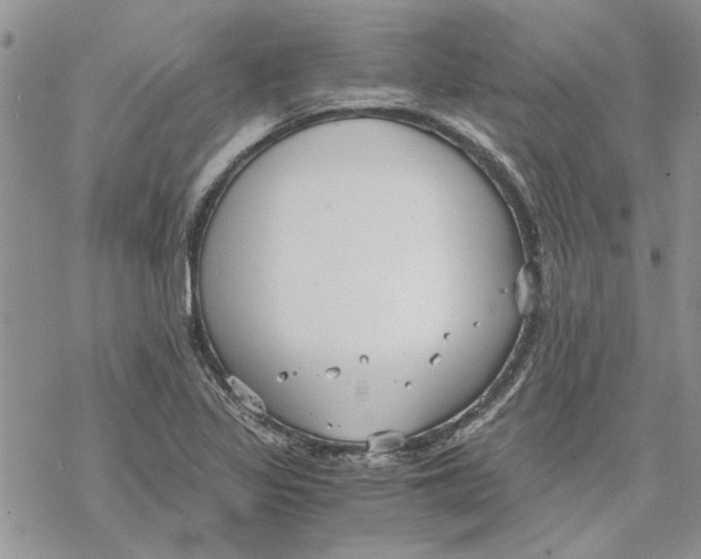 X0000069831317200606091436